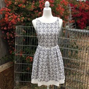 Max Studio Daisy Cotton Dress